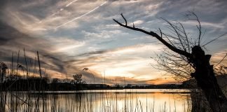 걸어 다니는 호수A Walking Lake – 이재무 시인