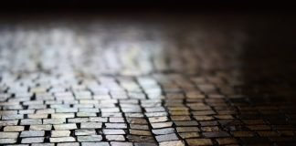 내가 시골길에서 넘어지는 이유The Reason Why I Stumble on a Country Road – 이재무 시인