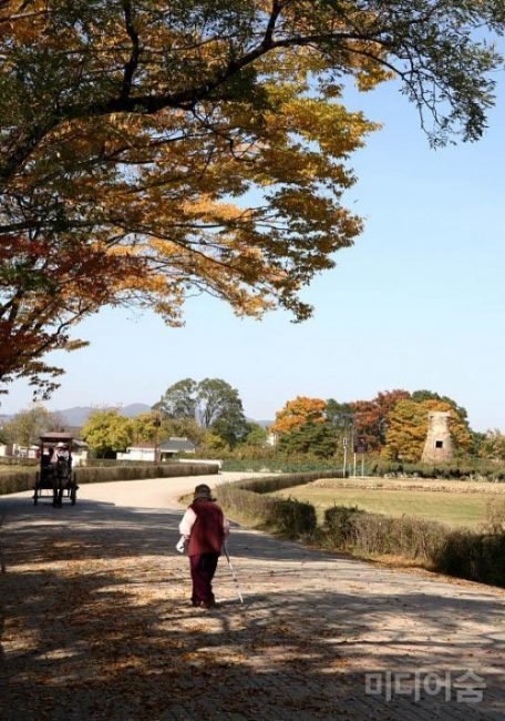 노인과 첨성대 – 이호준 작가