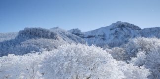 한라산Mount Halla – 이산하 시인