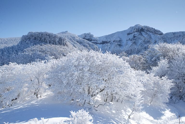 한라산Mount Halla – 이산하 시인