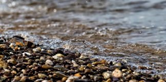 슬픔에게 무릎을 꿇다I Surrender to Sadness – 이재무 시인