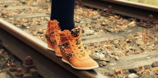 여행자Traveler – 장석주 시인