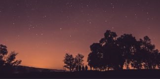 그믐밤 A Night of No Moon— 장석주