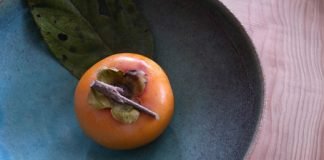 단감A Sweet Persimmon—장석주 시인