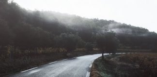 길 위의 식사 A Meal on the Road – 이재무 시인