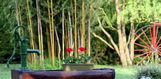 마당을 쓸며Sweeping the Yard– 이산하 시인