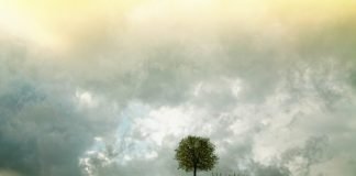 불혹Forty: “The Age When You Won’t be Tempted”– 이산하 시인