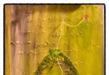 koreanlit.com 회원 모집