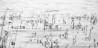 갑골문자Gabgol Munja*–권순자 시인