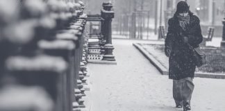 검은 오버 The Black Coat— 장석주 시인