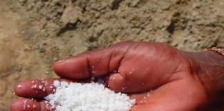 소금Salt —장석주 시인