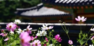 무량사 한 채 All of Muryangsa Temple- write by 공광규(Kong Kwangkyu)