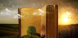 책이 무거운 이유The Reason That Books Are Heavy–write by 맹문재 (Maeng, Moonjae)