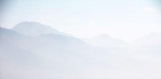 물고기에게 배우다 Learning From Fish- write by 맹문재 (Maeng, Moonjae)