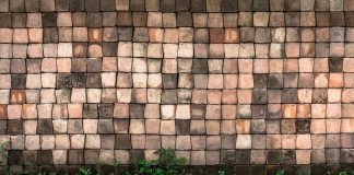 담장을 허물다Knocking Down Walls–write by 공광규(Kong Kwangkyu)