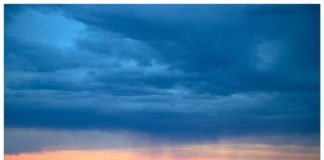 신新 고려장 시대(The Era of New Goryeojang신新 고려장 시대)- 이호준(Lee, HoJun)