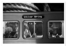 지구가 살해되고 있다 (The Earth Is Being Murdered)- 정원도 (Jeong, Wondo)