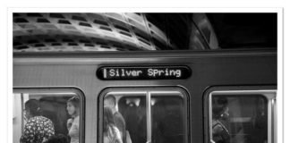 지구가 살해되고 있다 (The Earth Is Being Murdered)- 정원도 (Jeong, Wondo)