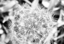 나에게 묻는다 (I Ask Myself)- 이산하 (Lee, SanHa)